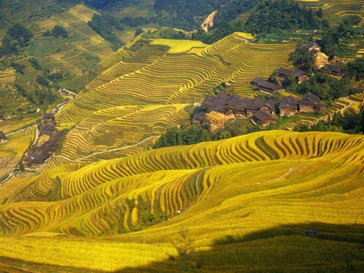 Вилла Long 胜 馨 Jia Yuan 饭店 Луншэн Экстерьер фото